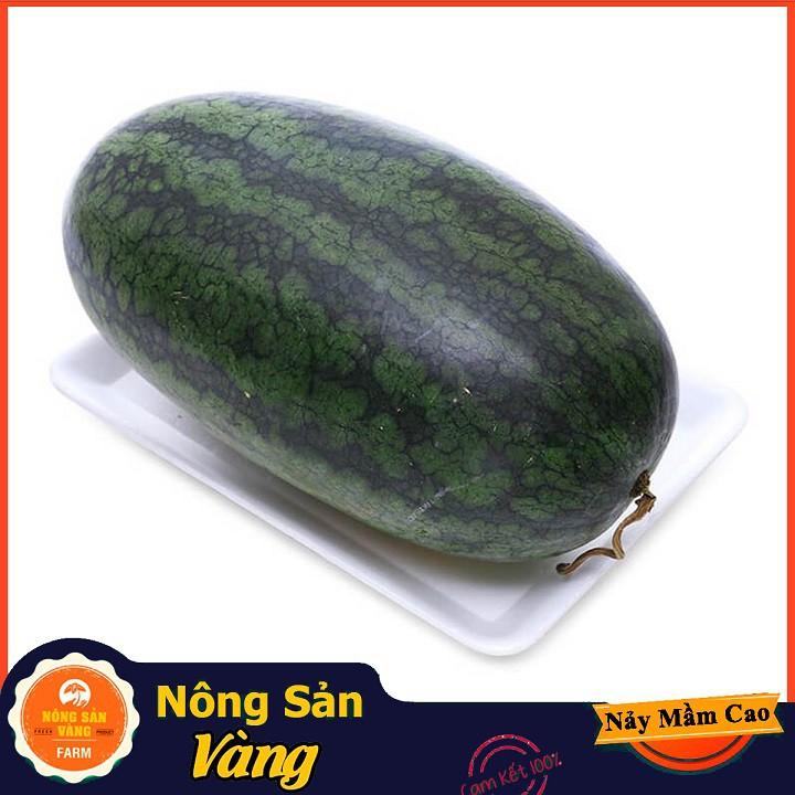 Hạt giống Dưa Hấu Hắc Mỹ Nhân