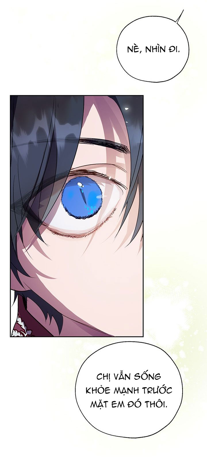 cách để cứu rỗi anh trai của nữ chính chapter 28 41