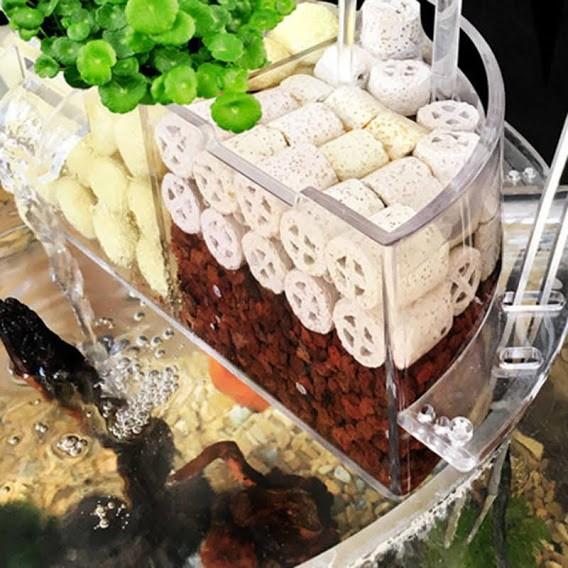 Hộp lọc acrylic cho bể cá tròn