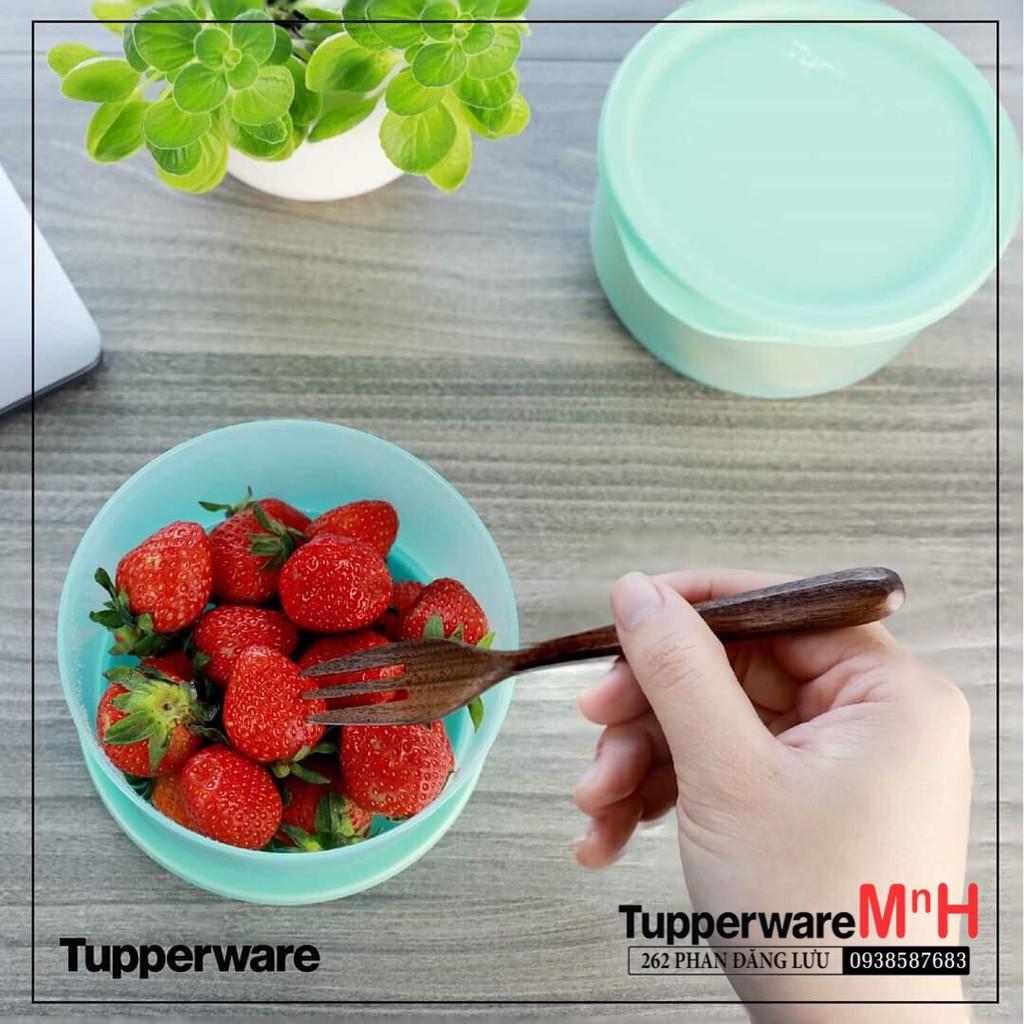 Hộp Bảo Quản Thực Phẩm Đa Năng Roundstax Tupperware, Hộp Trữ Thực Phẩm, Nhựa Nguyên SInh An Toàn