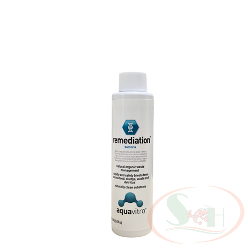 Vi Sinh Nước Aquavitro Remediation Bacteria Chủng Cao Cấp