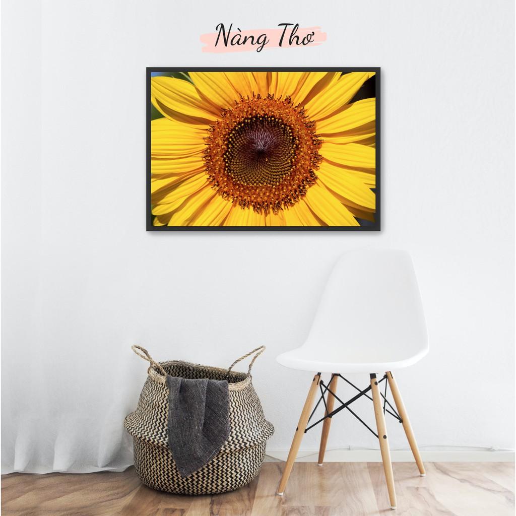 BỘ 2 TRANH HOA HƯỚNG DƯƠNG DECAL_DECAL VIP
