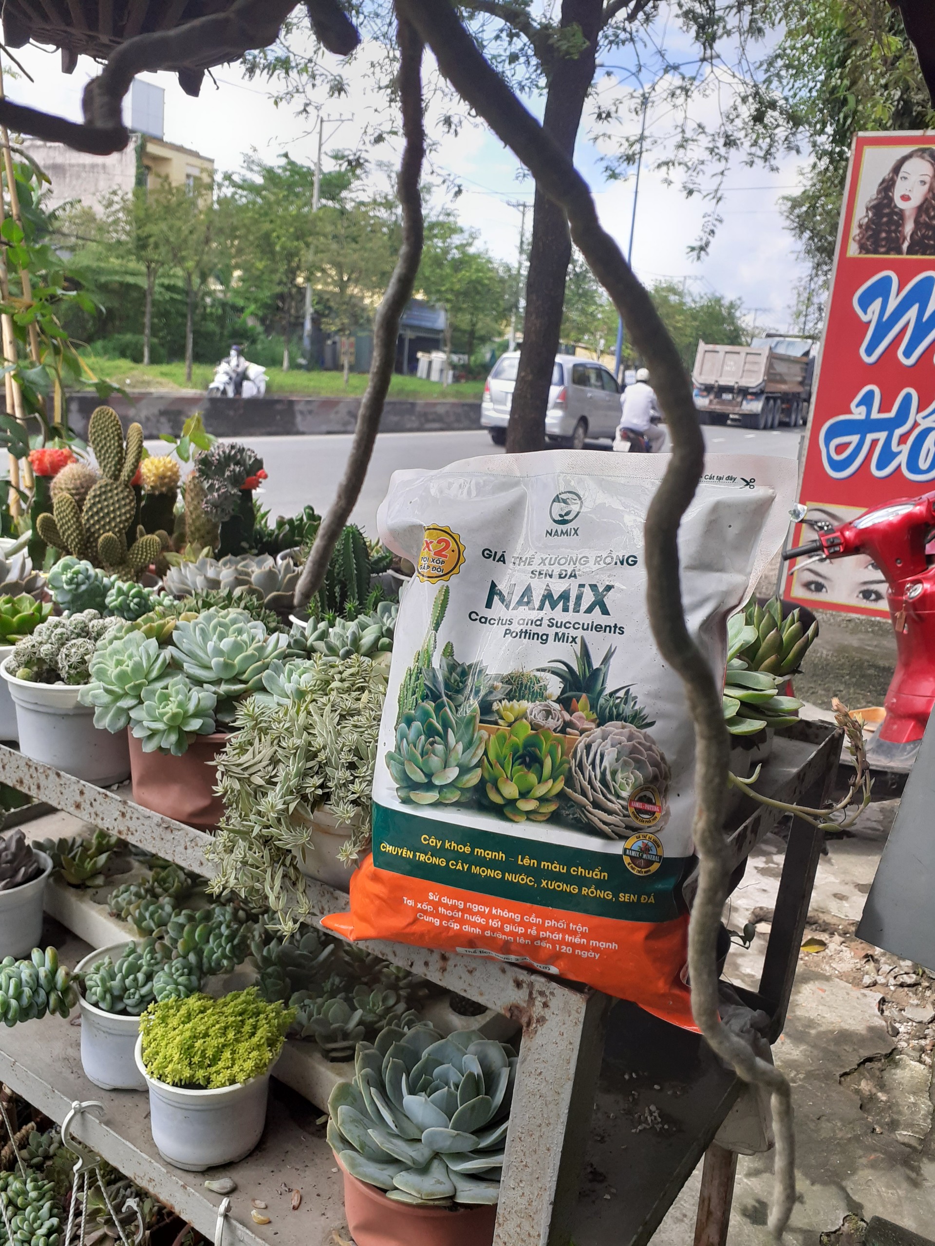 Giá thể xương rồng và sen đá NAMIX túi 2dm3 .