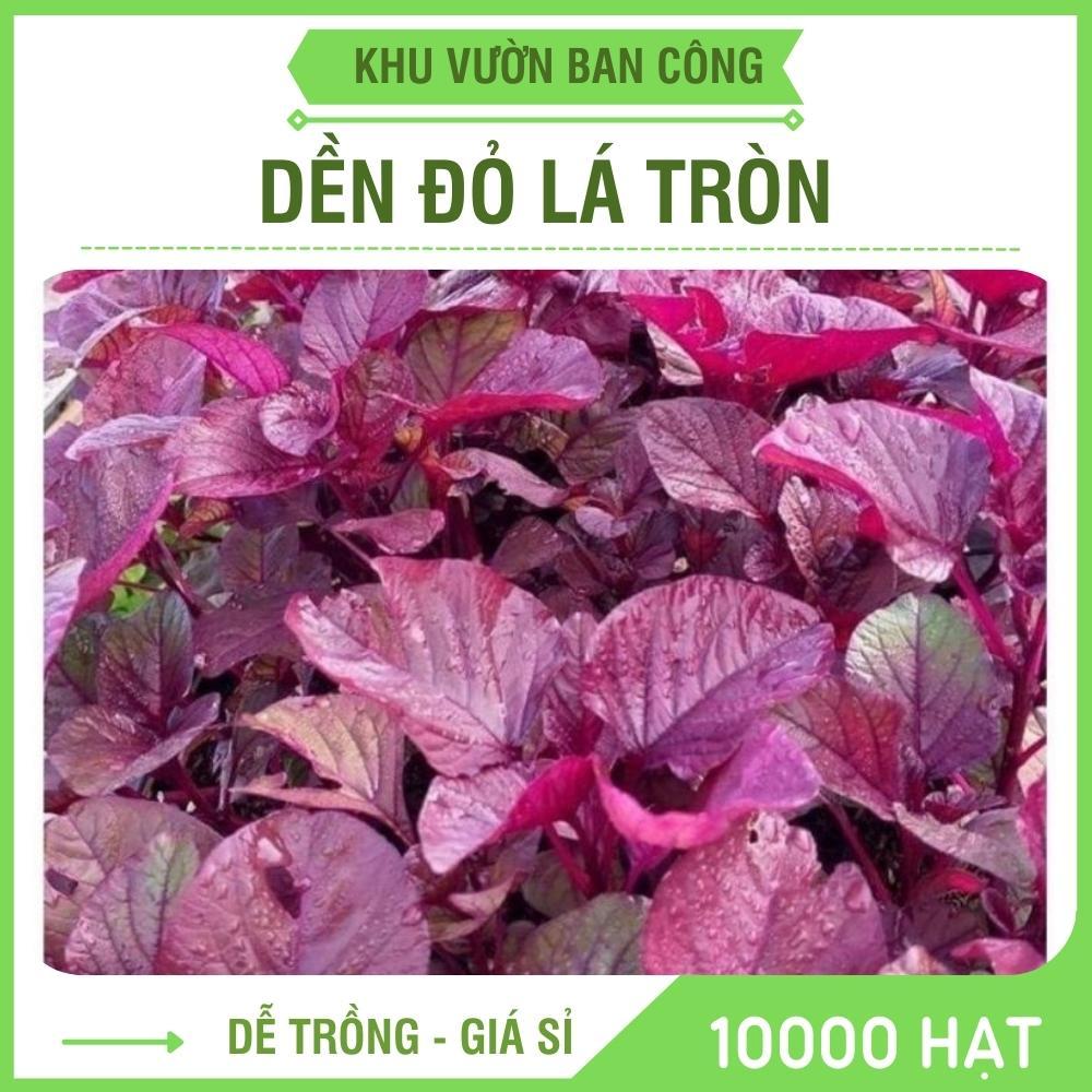 Hạt Giống Rau Dền Đỏ Lá Tròn Gói 20G, Rau Trồng Sân Thượng - Khu Vườn Ban Công