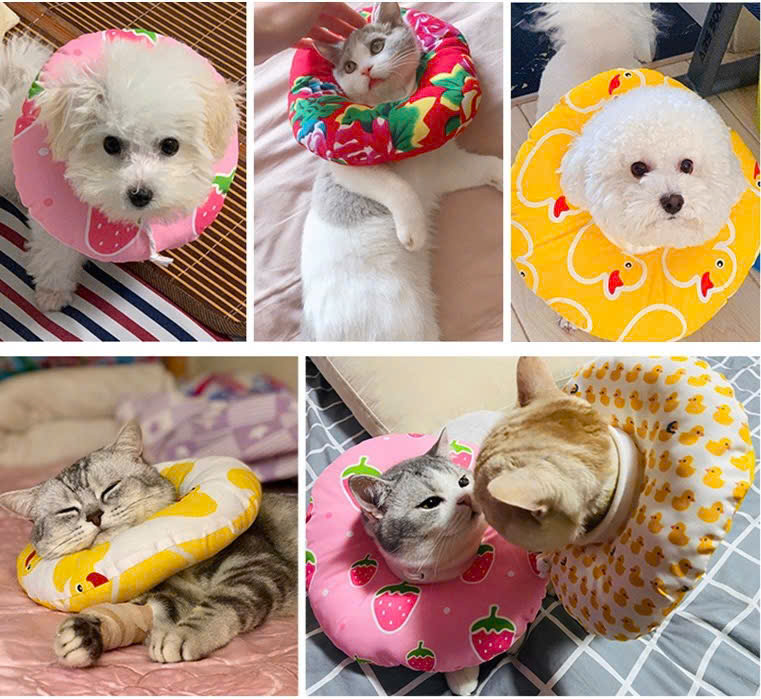 VÒNG CỔ THÚ CƯNG VÒNG CỔ LOA CHỐNG LIẾM CHO THÚ CƯNG TỪ 0.1-8KG DÀNH CHO CHÓ MÈO VÀ THỎ