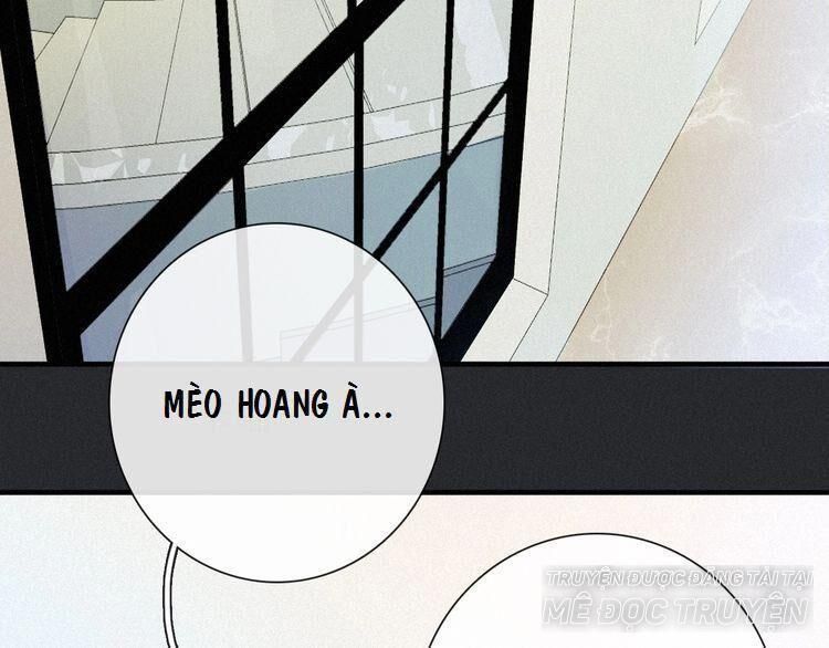 đêm tối chốn này chapter 48 62