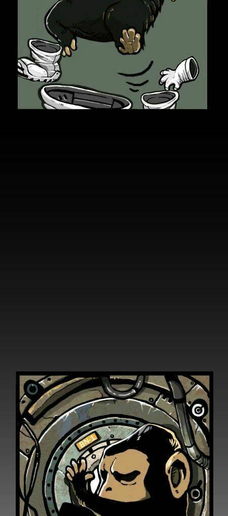 earth, human, and animal chapter 15 5