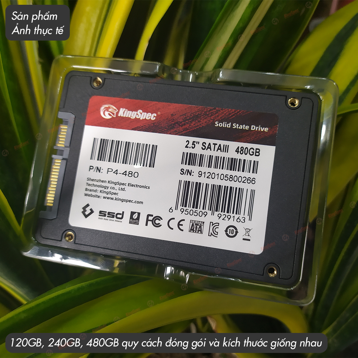 Ổ cứng SSD KingSpec 480GB cài sẵn Win 10 / SATA 2.5 - Hàng Chính Hãng