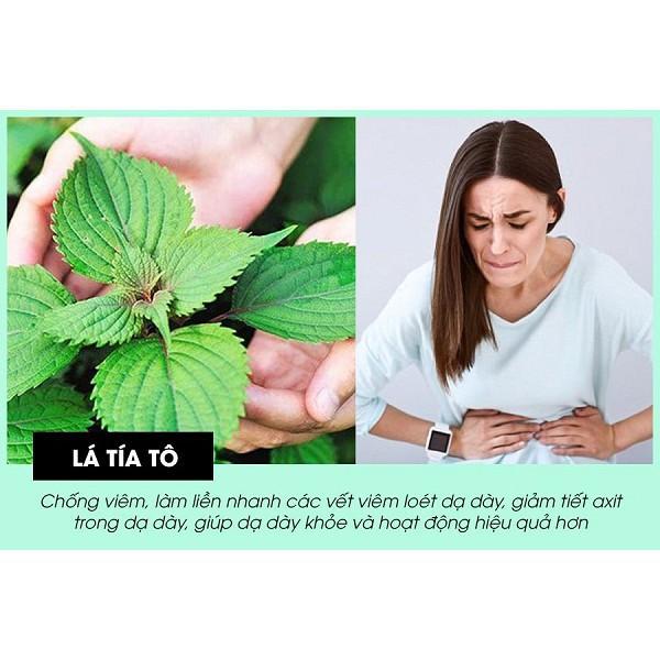 Bột tía tô Behena nguyên chất 100%, hỗ trợ kháng viêm, cảm cúm, ngăn ngừa bệnh Gout (Hộp 50gram)