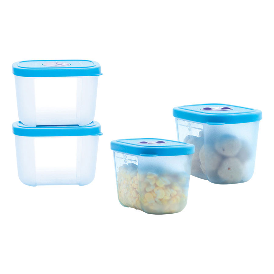 Bộ 4 Hộp Bảo Quản Thực Phẩm Đông Tupperware Freezermate Mini Freezer 4 (290ml)