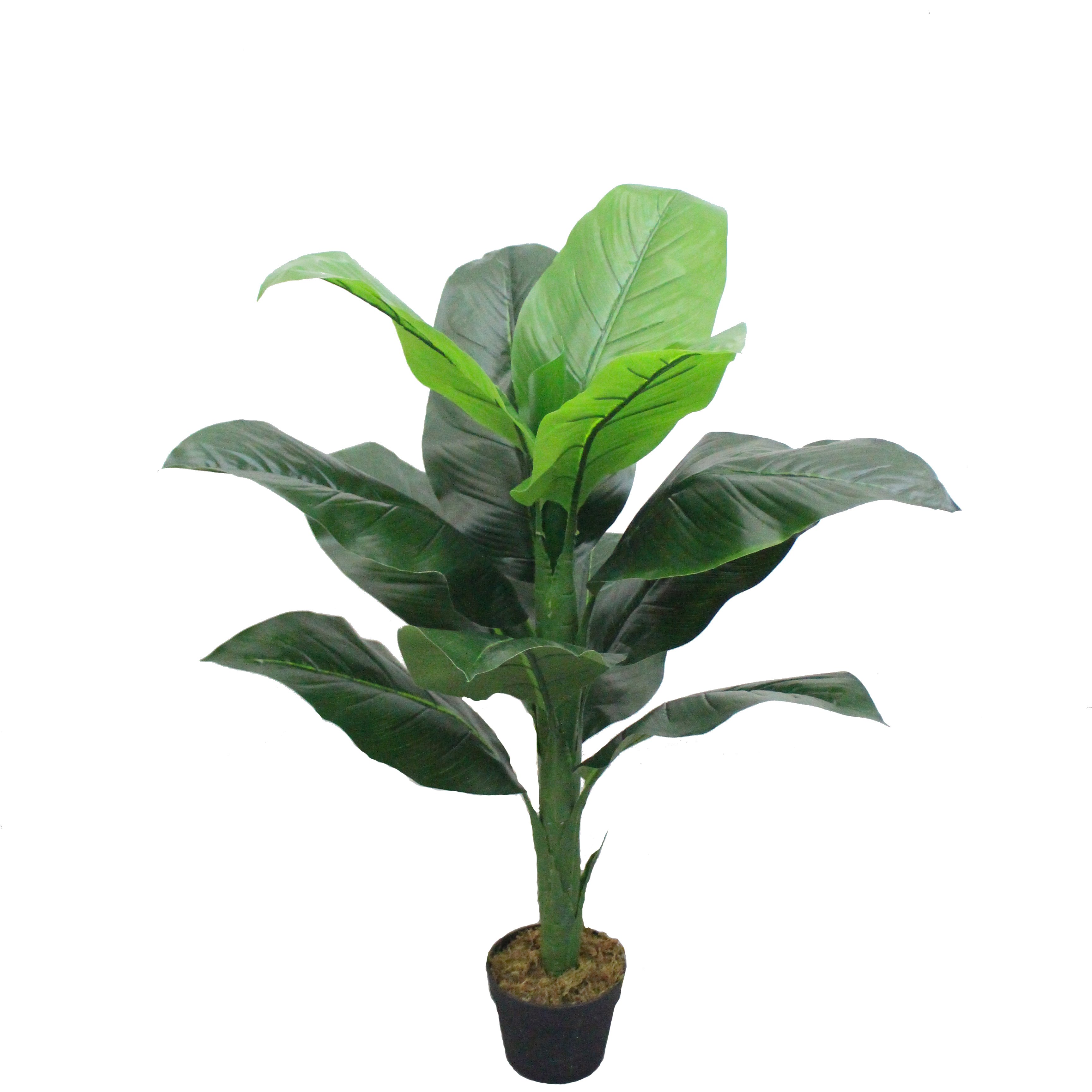 Cây chuối giả, chuối cảnh trang trí 90cm - 200cm lá lụa siêu đẹp, giống thật 99%