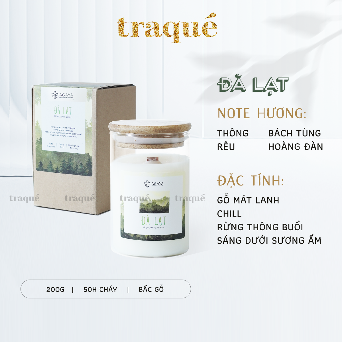 Nến thơm Candle Cup/Agaya - Hương Gỗ ĐÀ LẠT