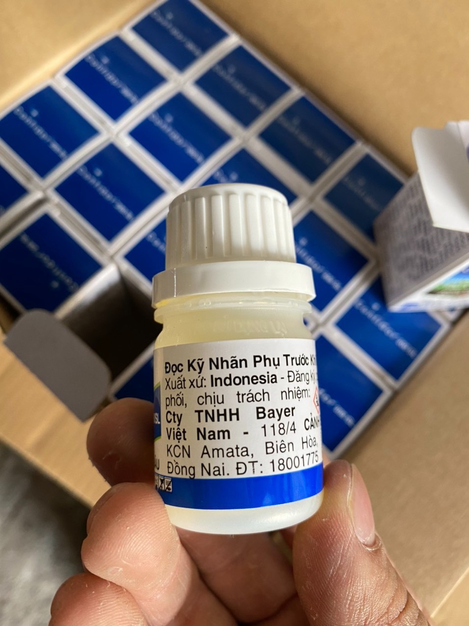 CHẾ PHẨM CONFIDOR 200SL ,CHUYÊN TRỊ SÂU VẼ BÙA , BỌ TRĨ , RỆP SÁP CHO HOA HỒNG , LAN