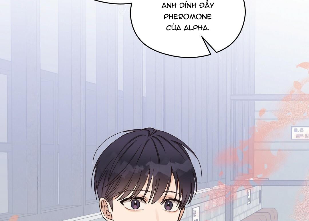 phức cảm tự ti của omega chapter 4 17