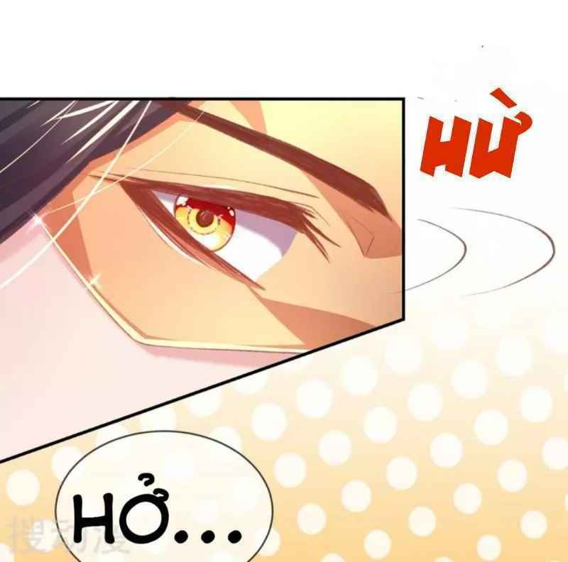 thị huyết y phi chapter 38.5 50