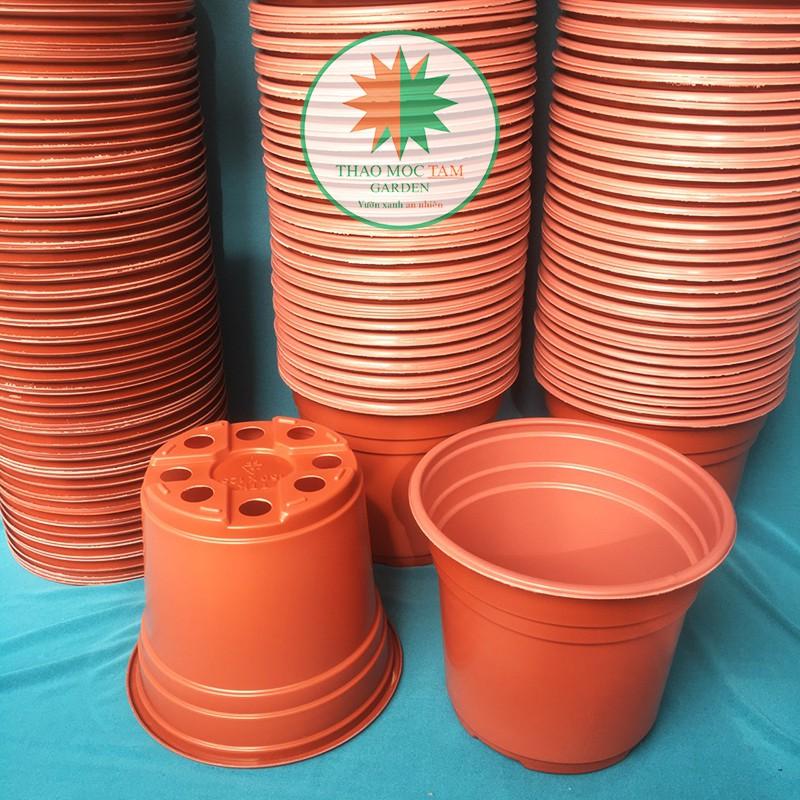 10c Chậu nhựa trồng hoa 15x12.5cm - Chậu chuyên trồng hoam dâu tây nhà vườn