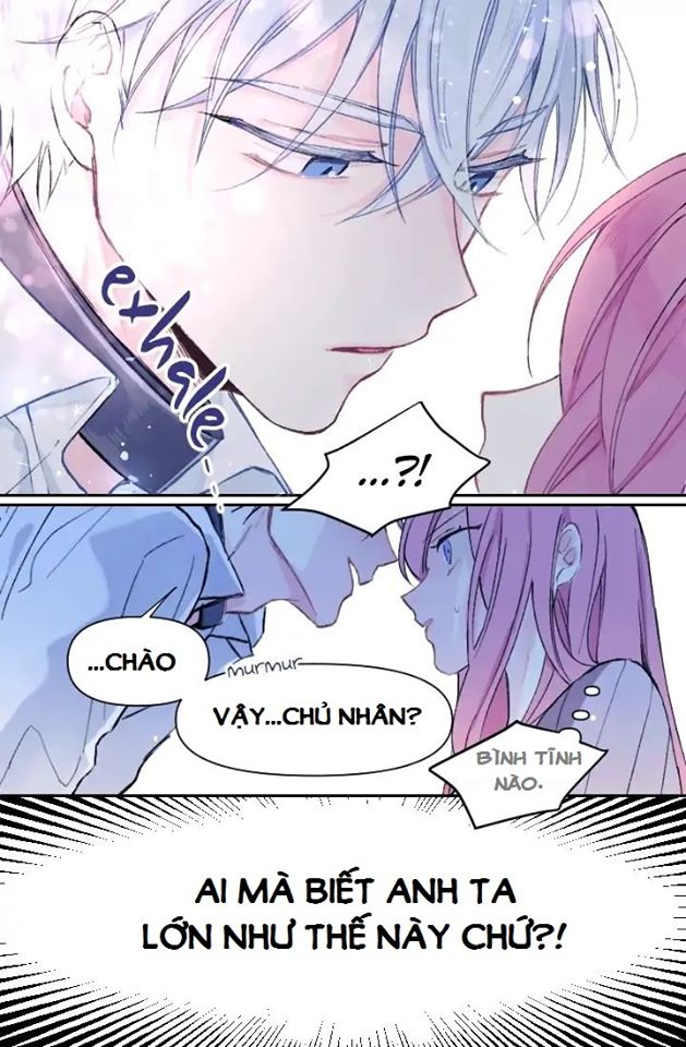 tổng hợp prologue chapter 36 20