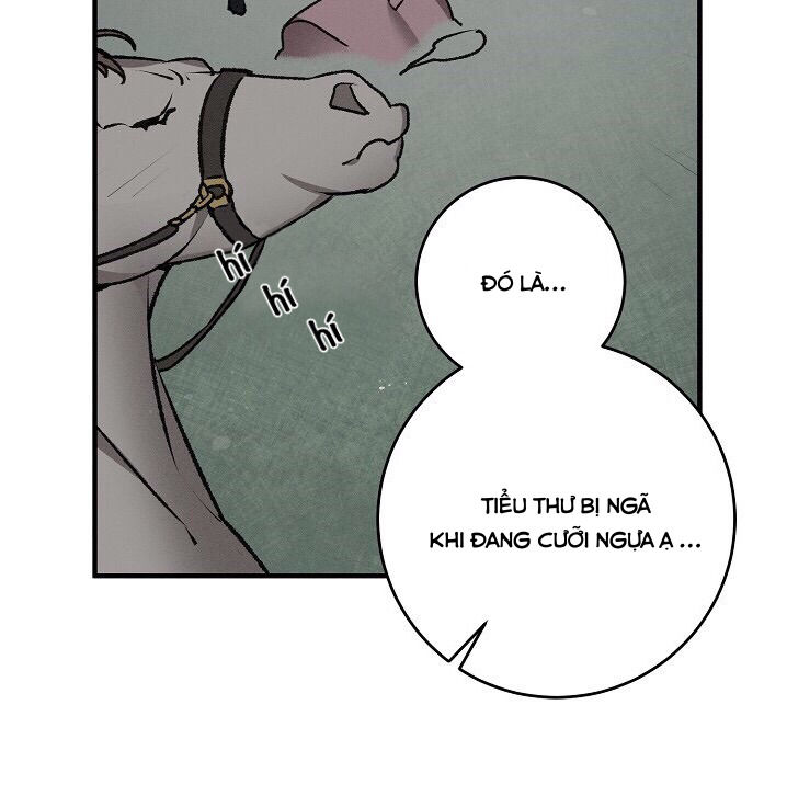 cách để thuần hoá một quý cô chapter 2 25