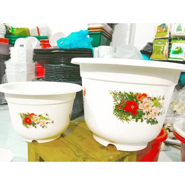 Combo 5 Chậu Nhựa Bốn Mùa, Chậu Tròn Trắng In Hoa Văn Nhiều màu có 3 Chân cao 3cm - Trồng mọi loại cây