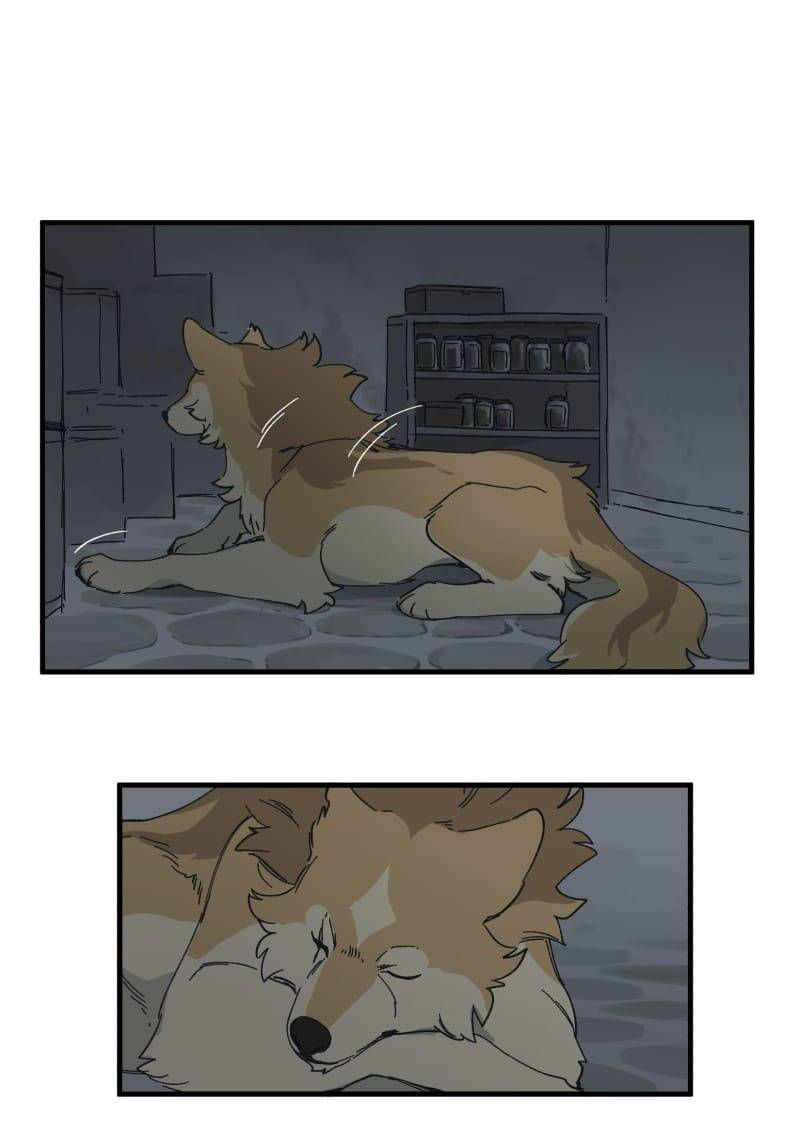 lumine - cội nguồn ánh sáng chapter 141 8