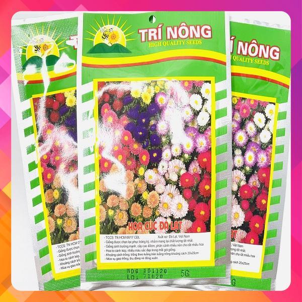 Hạt giống hoa cúc Đà Lạt