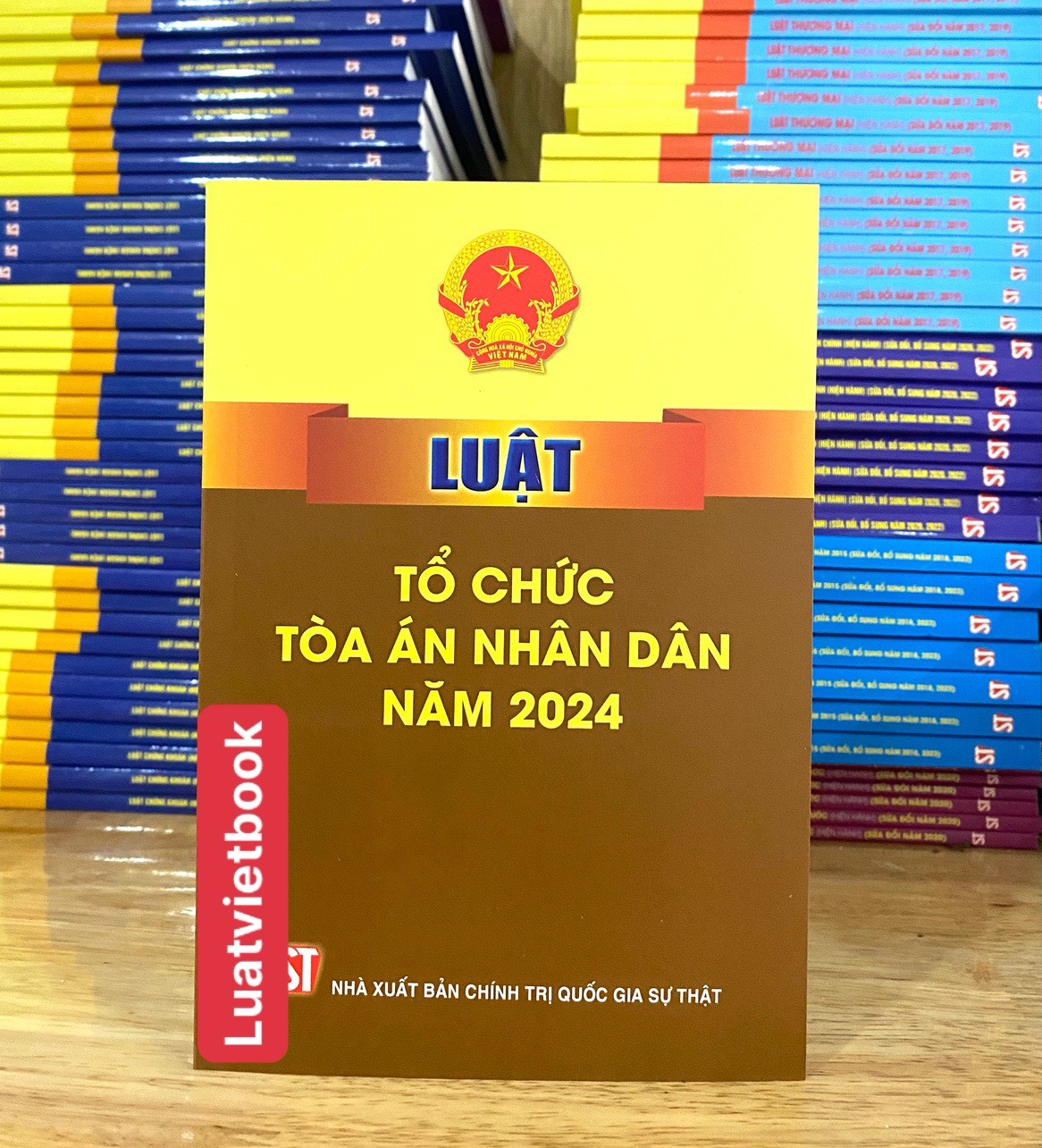 Luật Tổ Chức Toà Án Nhân Dân Năm 2024