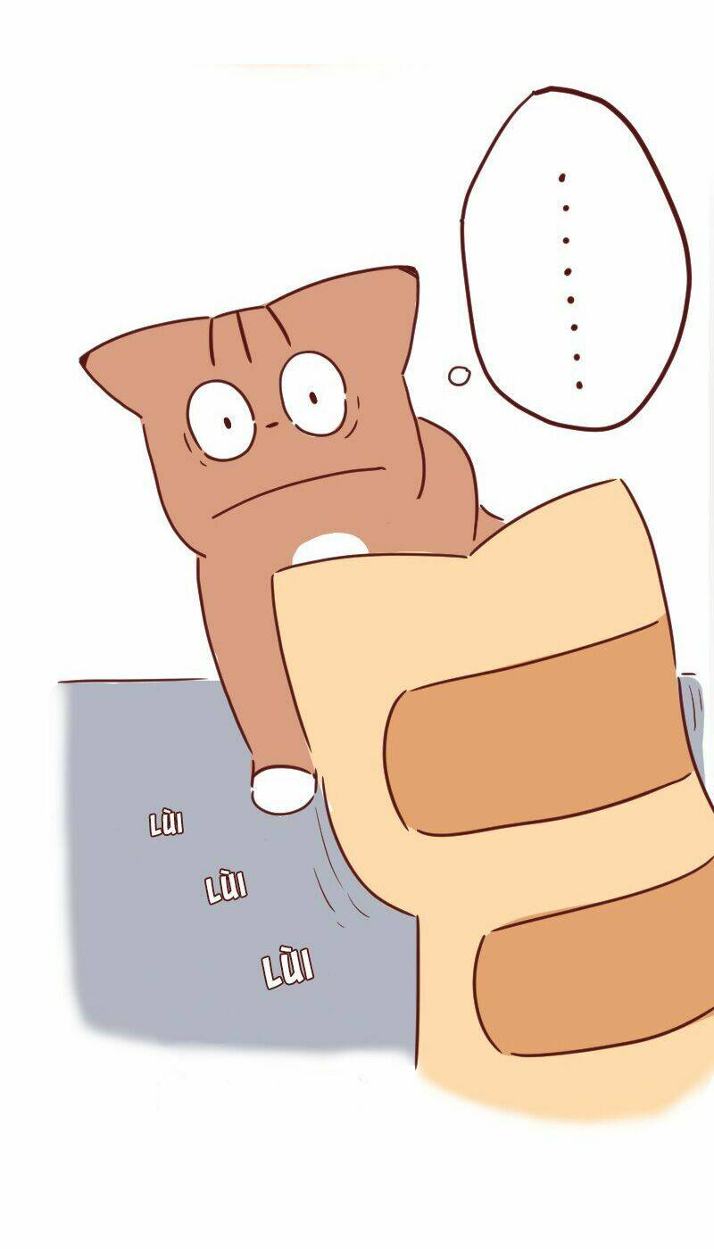 saphie: chú mèo một mắt chapter 29 6