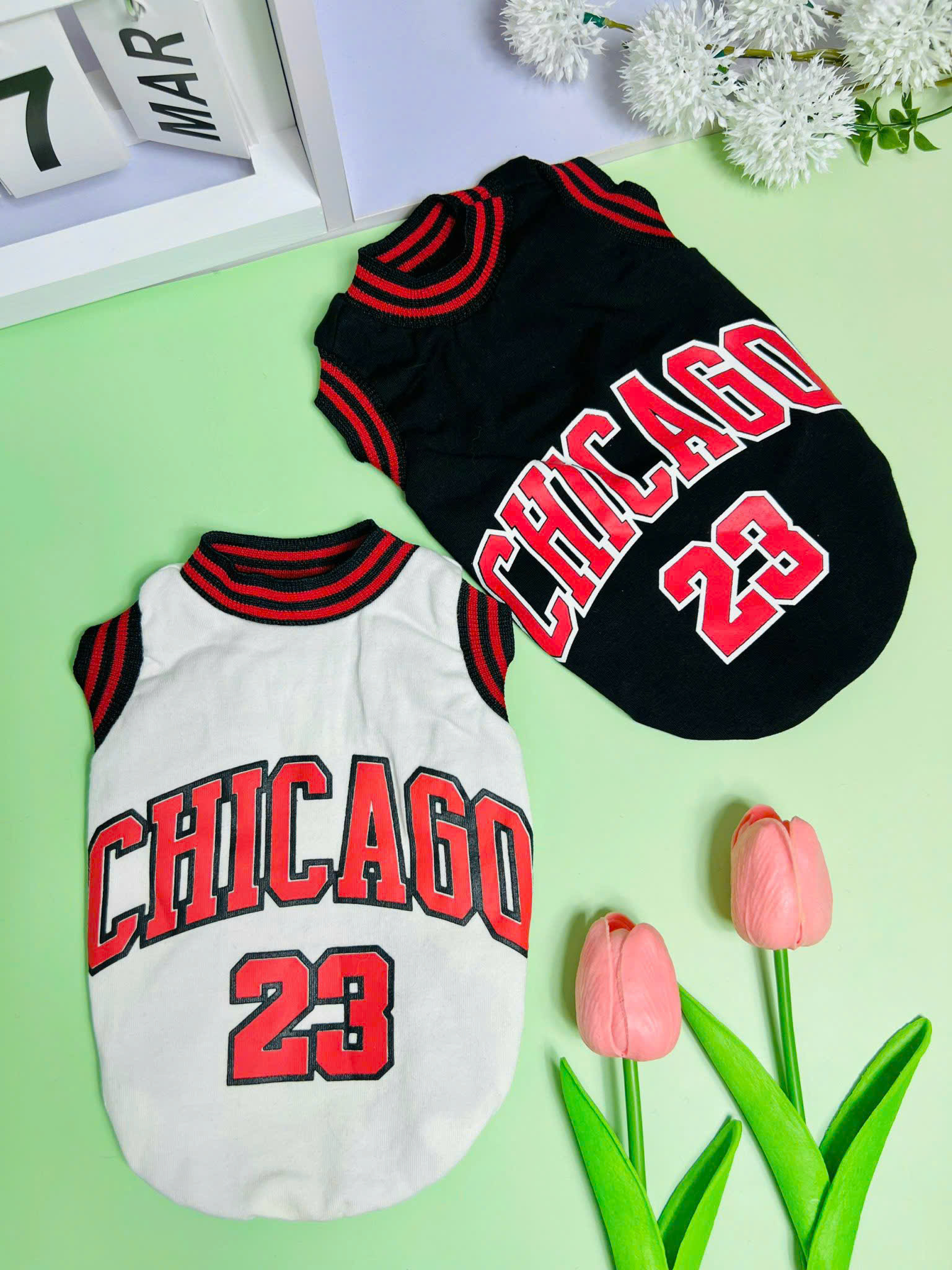 ÁO CHICAGO SANG XỊN DÀNH CHO THÚ CƯNG CHÓ MÈO