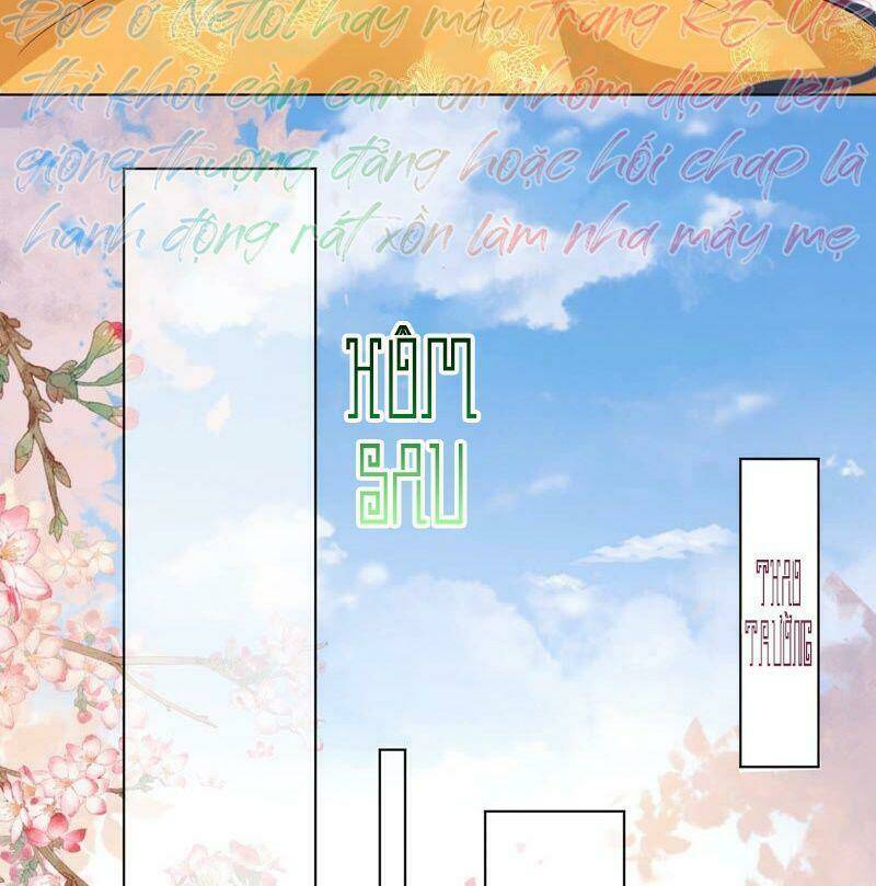 quận chúa vững vàng, thiết lập nhân vật không thể vỡ chapter 36 15