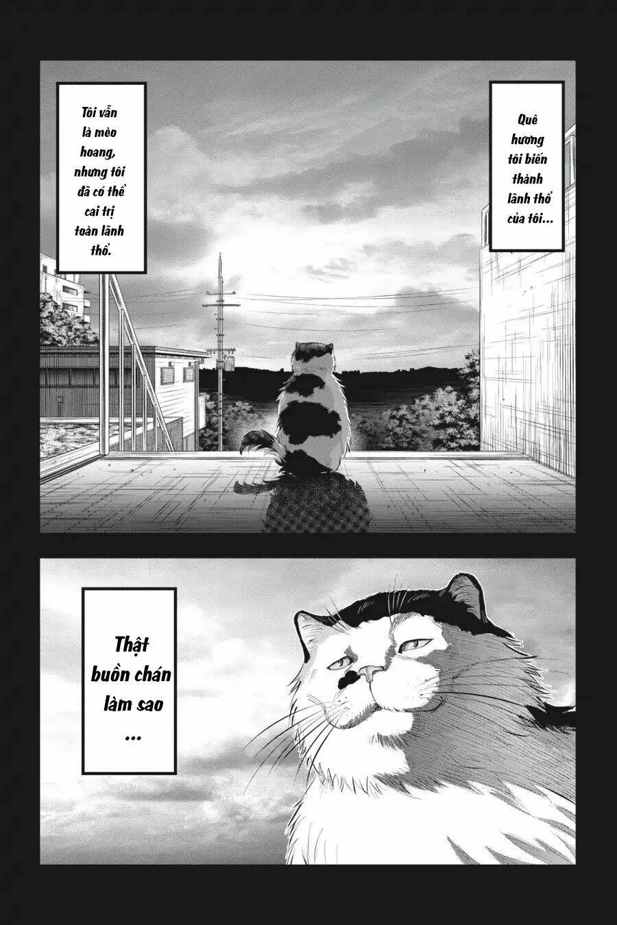 nyankees chapter 7 8