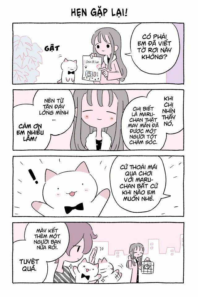 chú mèo kỳ diệu kyuu-chan chapter 549 2