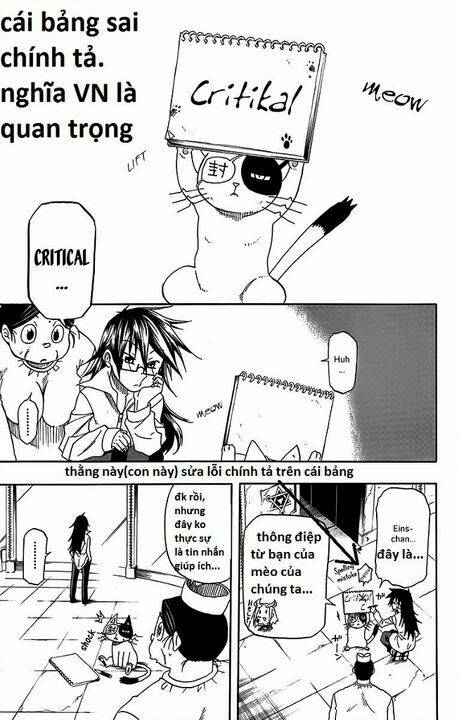 tripeace chapter 29 3