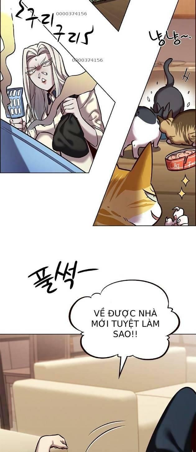 biến thân thành mèo chapter 239 5