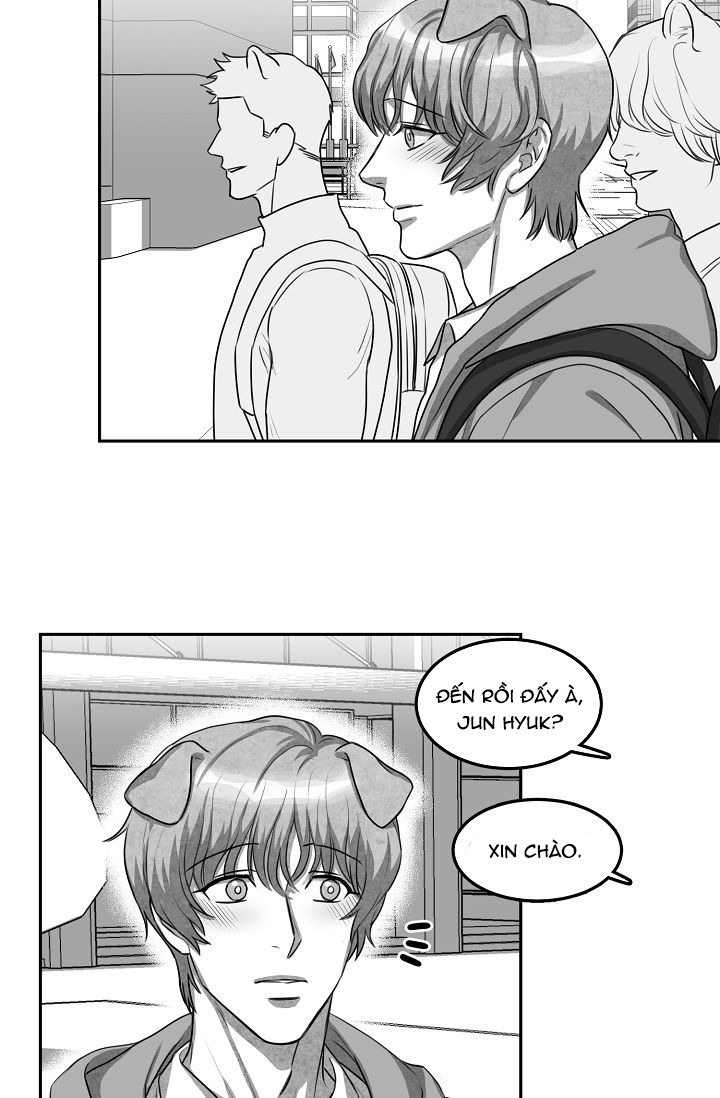 khi cún biết yêu chapter 4 4