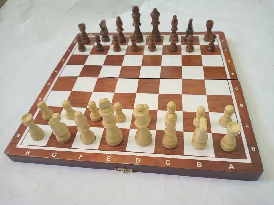Bộ cờ vua gỗ cao cấp - Giúp trẻ phát triển trí tuệ - Hàng chính hãng DAICAT Official store