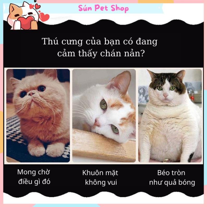 Đồ chơi cho chó mèo