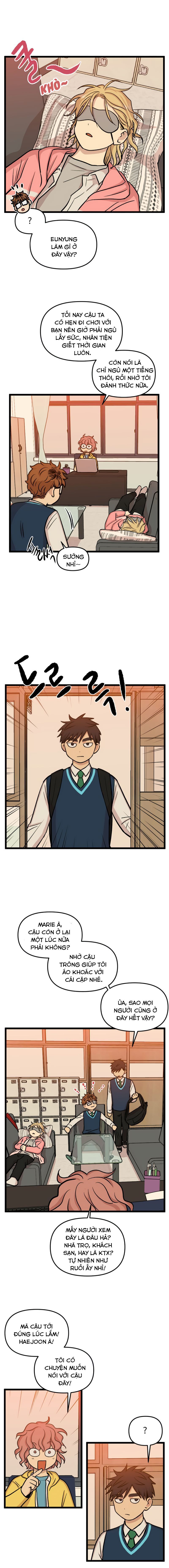 no home - không nhà chapter 170 8