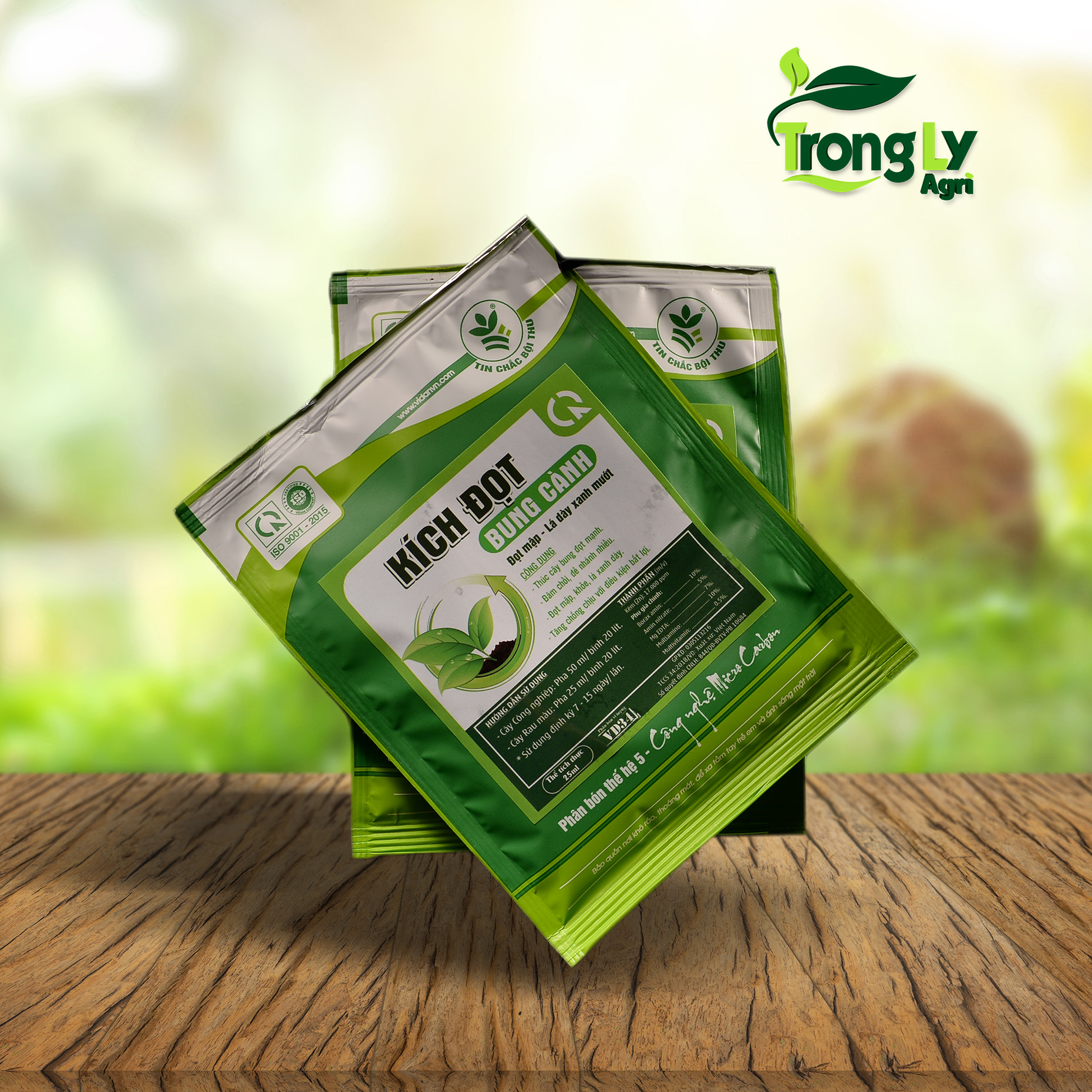 KÍCH ĐỌT-BUNG CÀNH - Mập đọt, Lá dày, xanh mướt lá