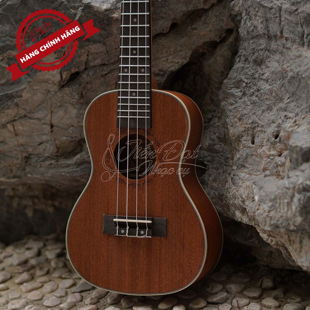 Đàn Ukulele Concert Chard WD-24THX, Màu nâu nổi bật, Mặt đàn Gỗ gụ - Hàng chính hãng