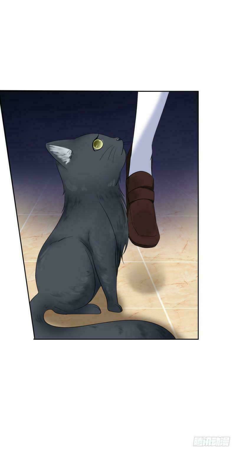 mộ thiếu, lão bà ngươi trọng sinh lại rồi! chapter 14 2