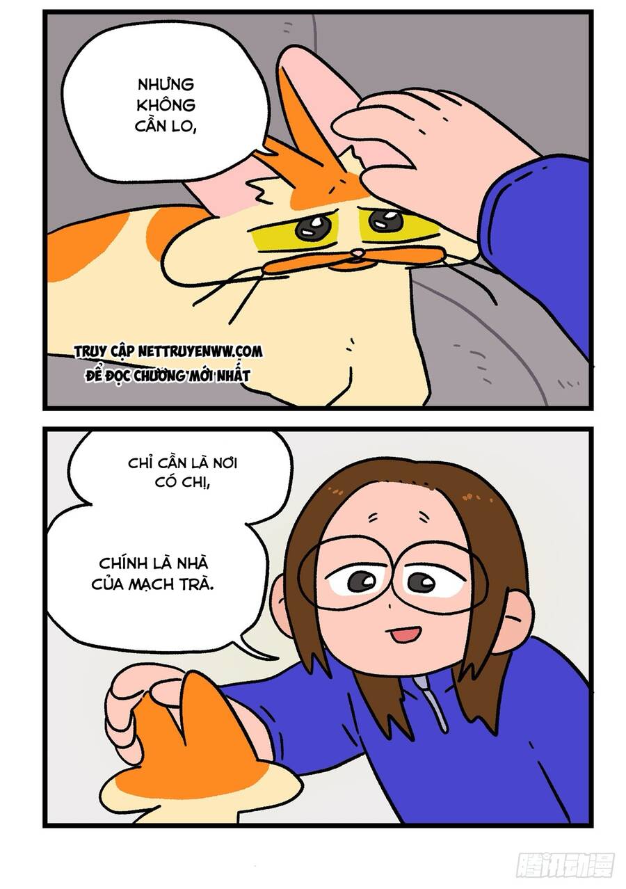 a mãn và mạch trà chapter 138.1 6