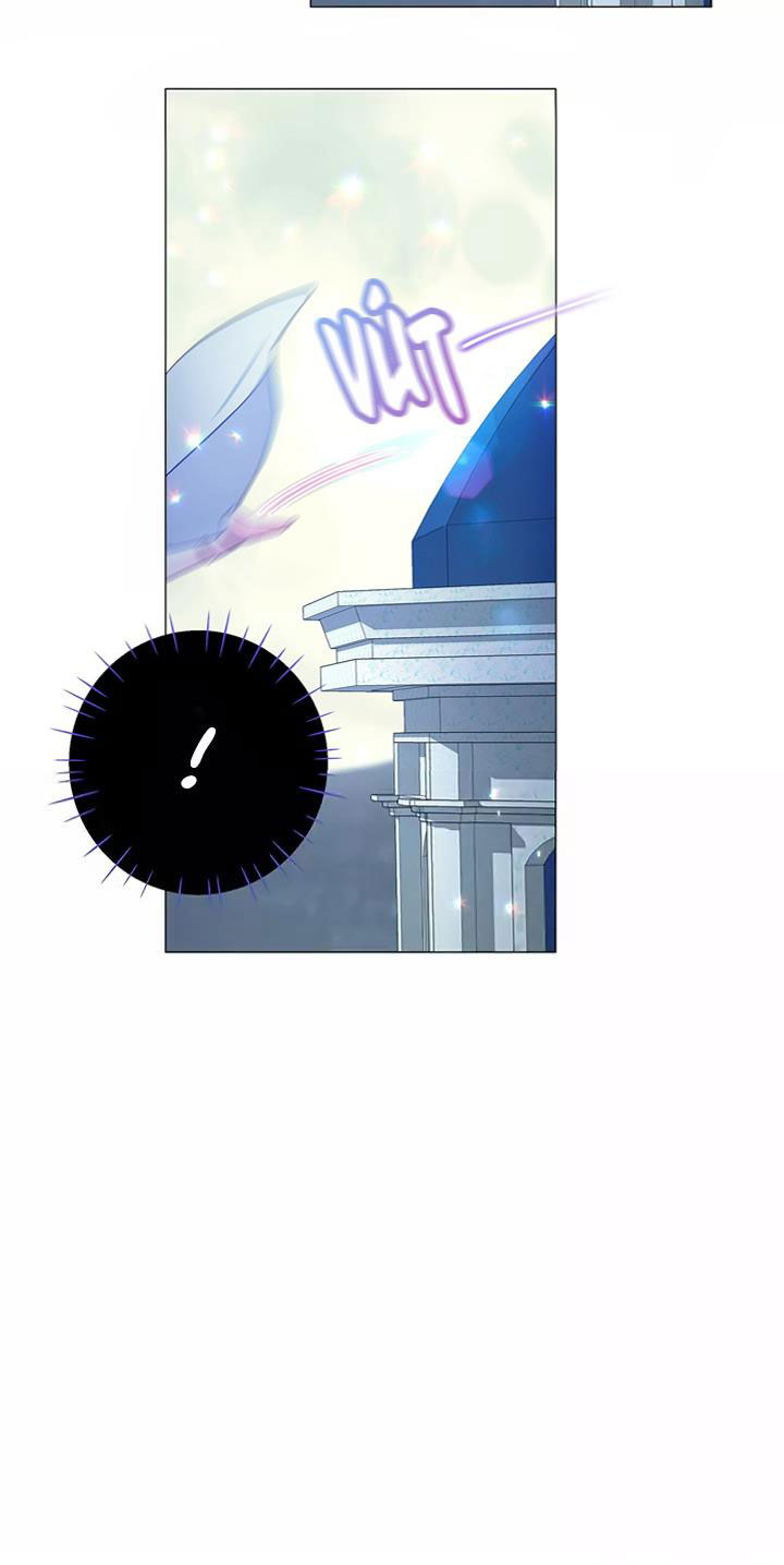 kế hoạch chọn papa của công chúa ._. chapter 7 22