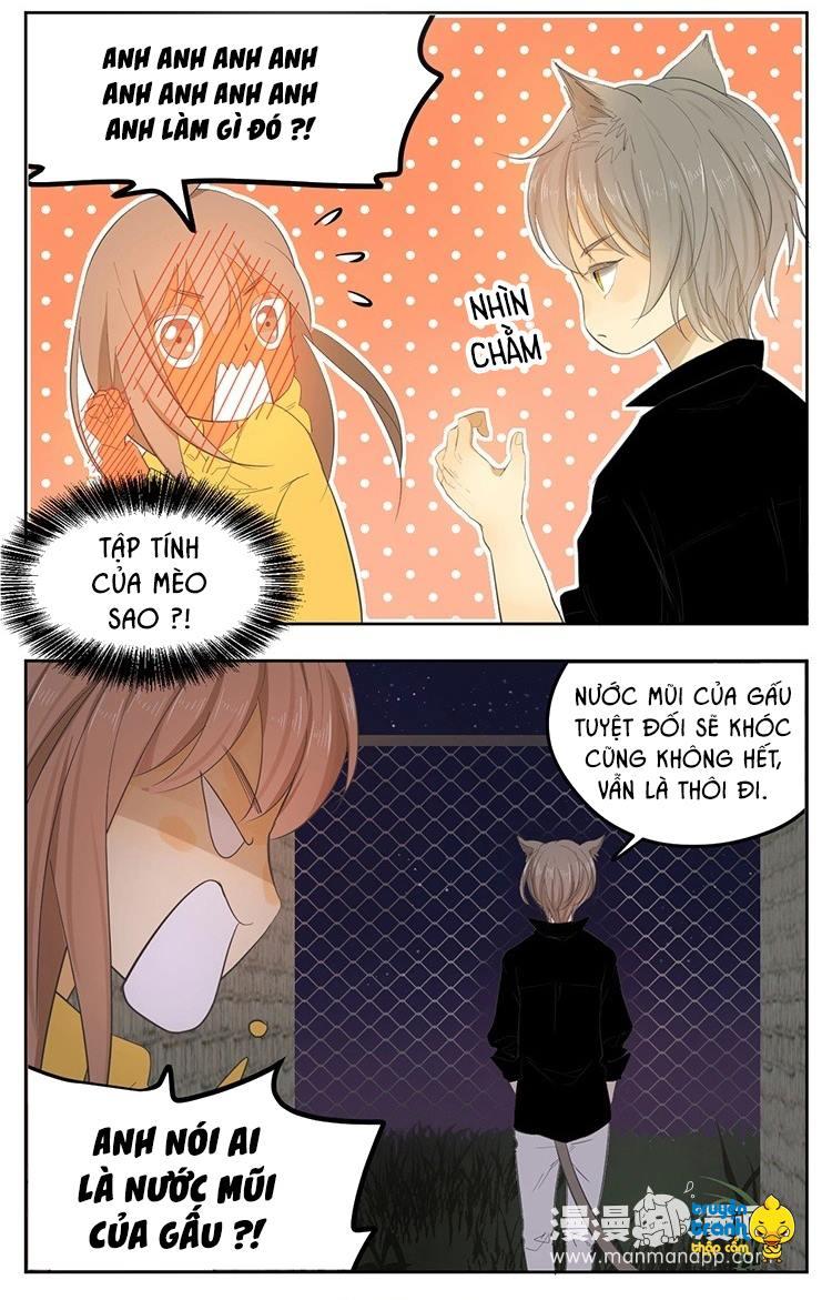 cứu mạng ! loài mèo thống trị thế giới rồi ! chapter 21 16