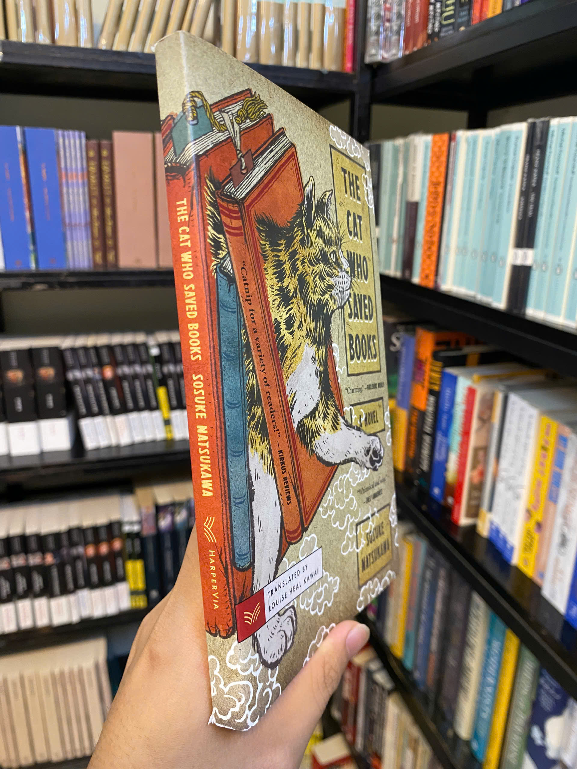 Sách - The Cat Who Saved Books by Sosuke Natsukawa - Bìa mềm | Japanese Literature / Fantasy Fiction