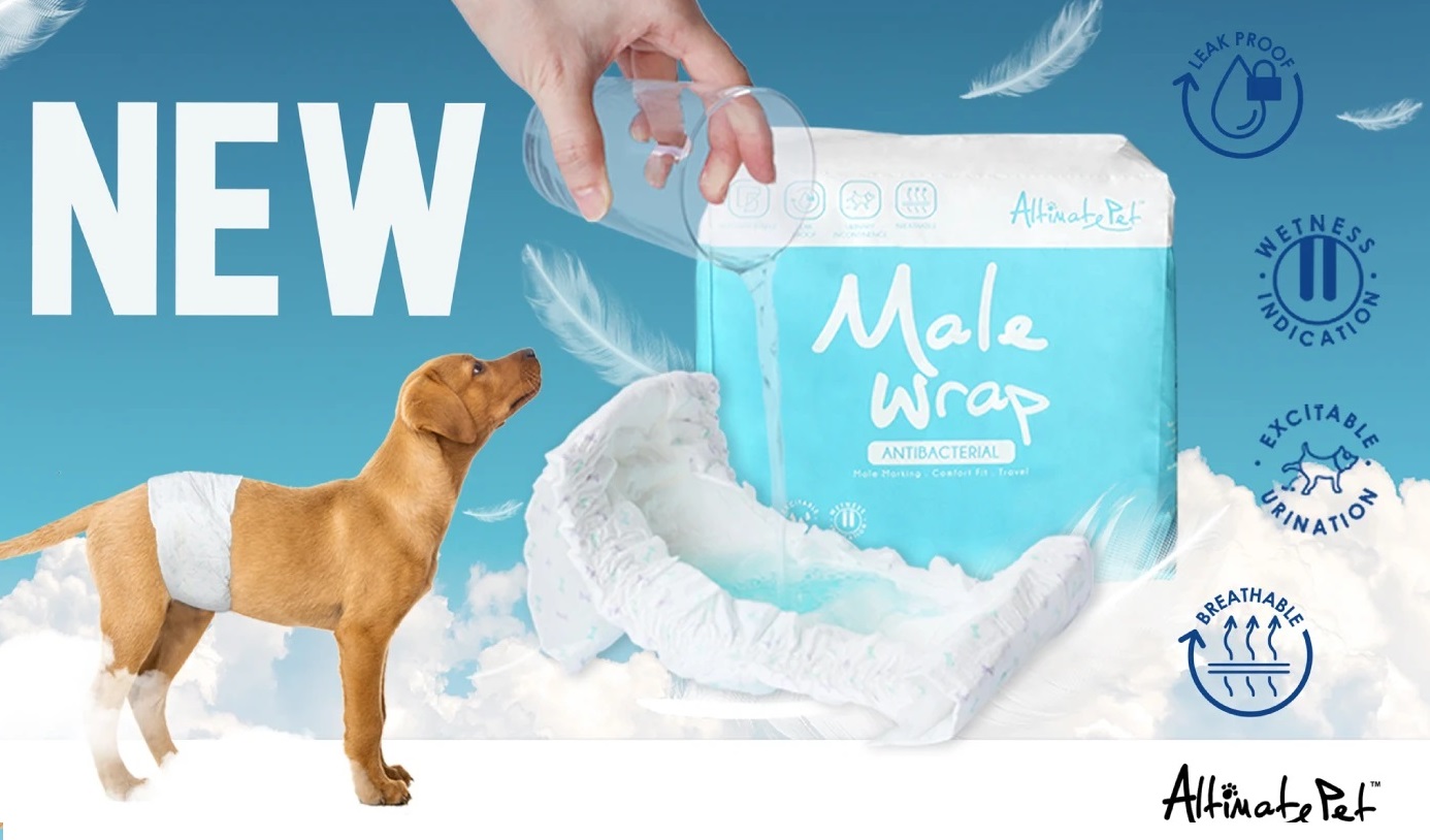 Bỉm Tã quần cho chó đực Male Wrap Antibacterial nhiều kích cỡ