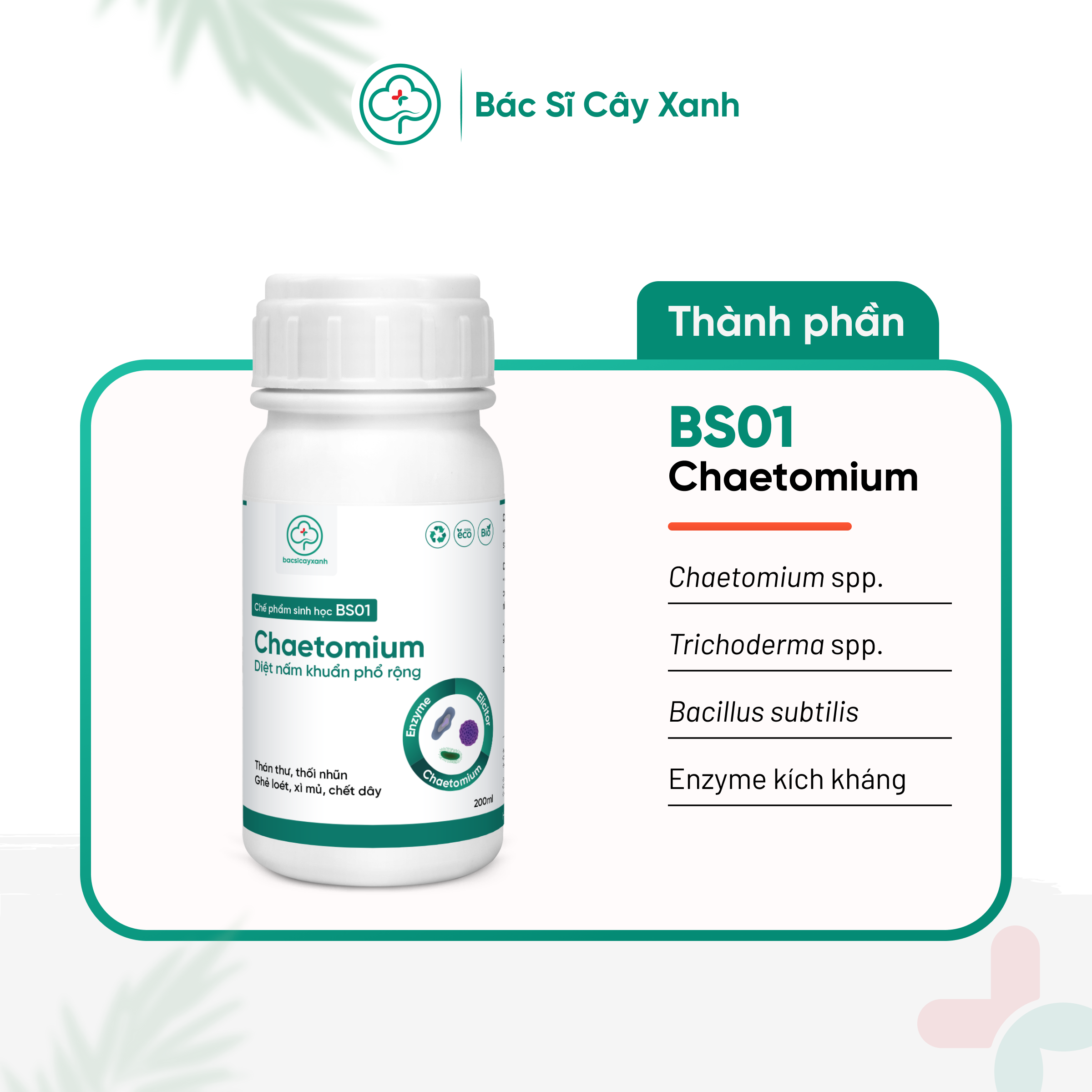 Chế phẩm trị thán thư, thối trái, héo rũ, chết cây con, phòng ngừa nấm bệnh BS01 Chaetomium 200ml NSX Bacsicayxanh