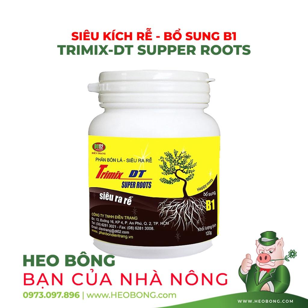 TRIMIX DT SUPER ROOT - KÍCH THÍCH RA RỄ BỔ SUNG B1