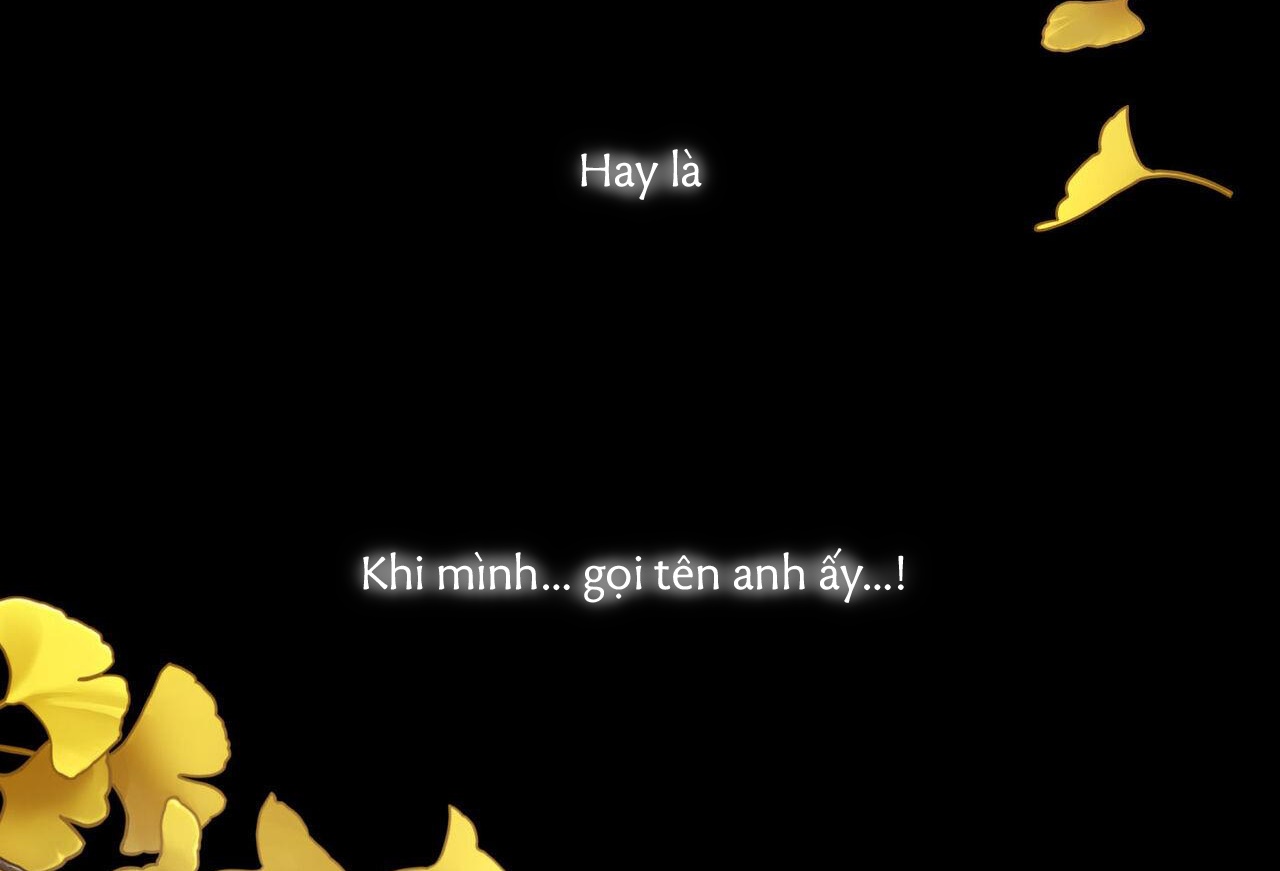 dải hợp âm trên đại dương xanh chapter 39 67