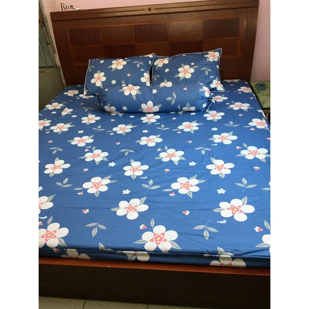 Bộ Drap Cotton THẮNG LỢI 4 món /