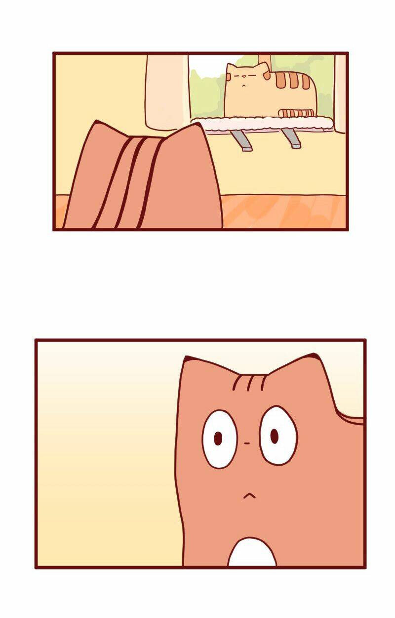 saphie: chú mèo một mắt chapter 10 3